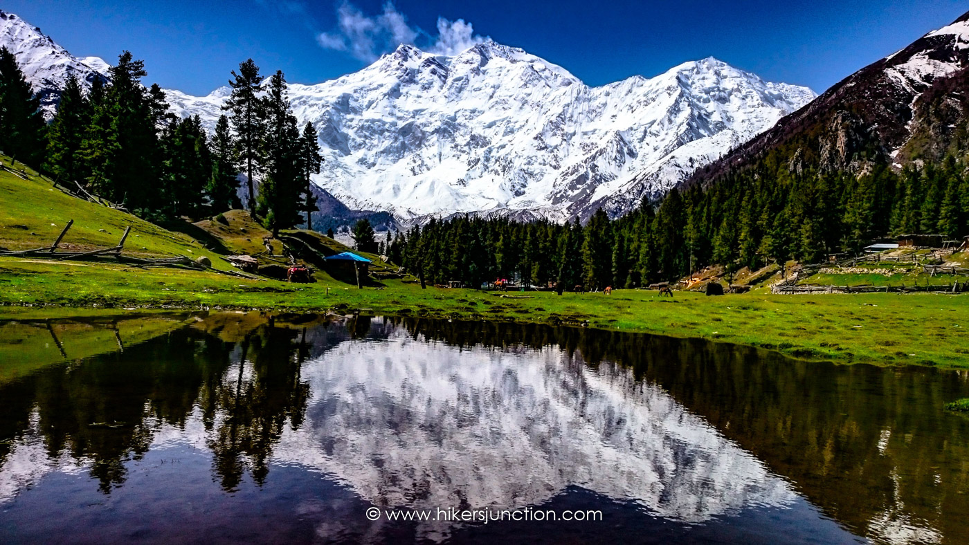 Hiking to Fairy Meadows